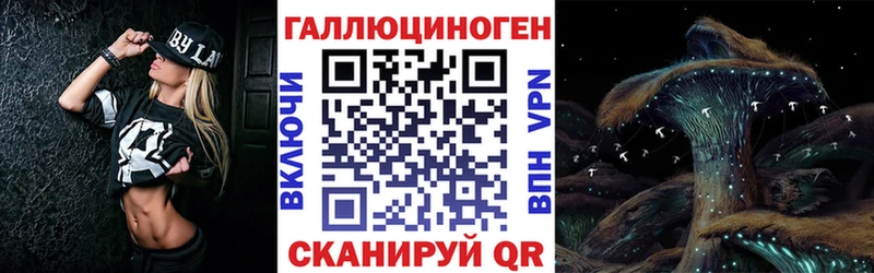 kraken как войти  Евпатория  Псилоцибиновые грибы MAGIC MUSHROOMS  где найти  