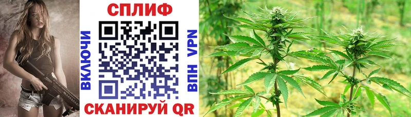 купить  цена  Евпатория  Бошки Шишки Ganja 